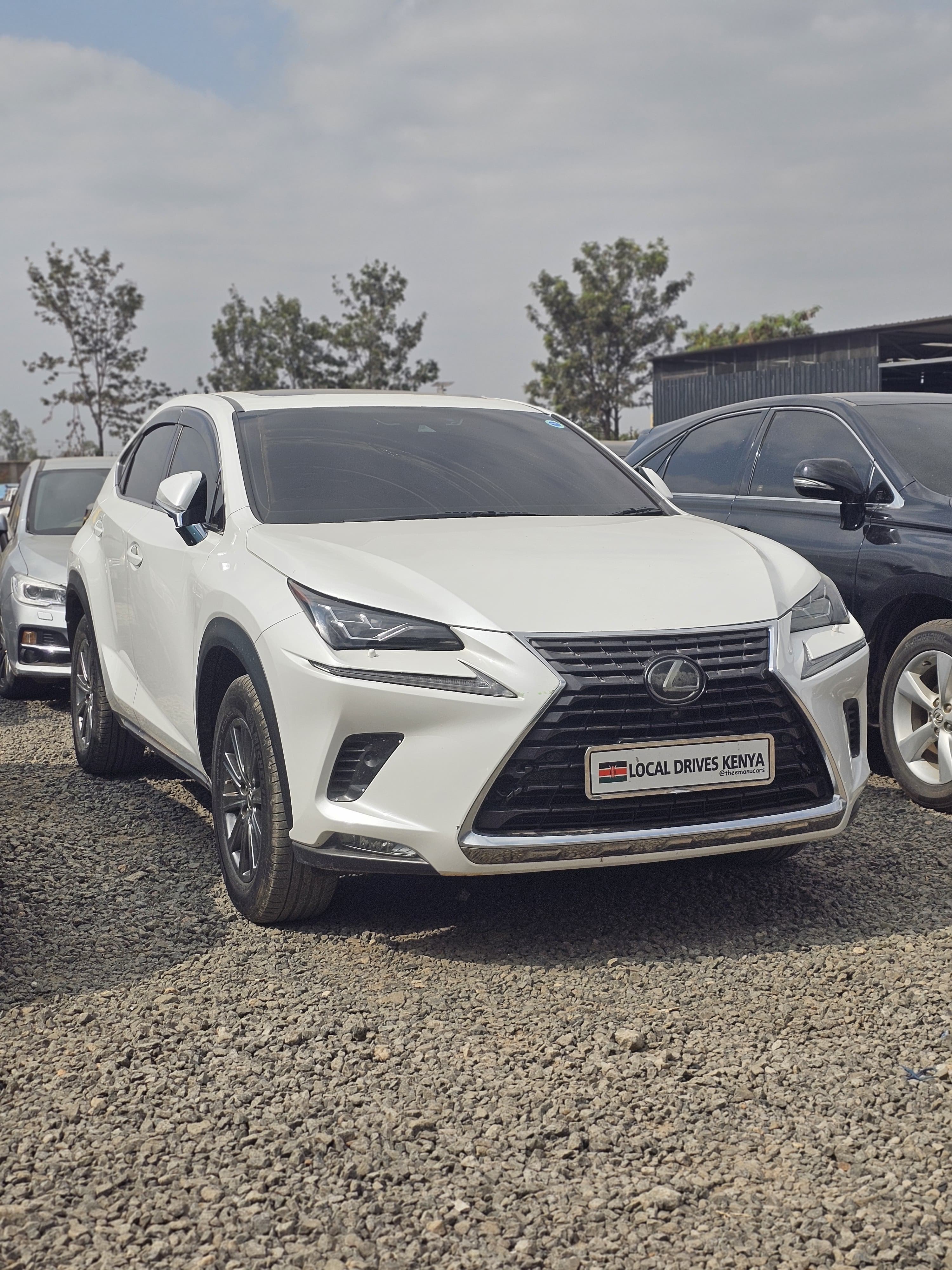 LEXUS Nx200t
